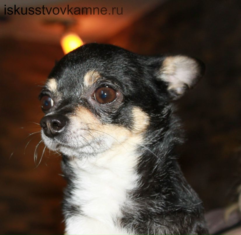 Владимир Дарымов wAlD | 