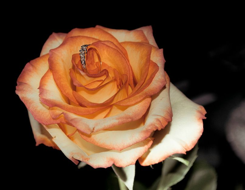 Елена Ковалёва | Нижний Новгород