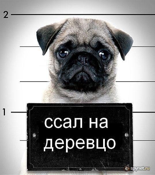 №38, Ксения Свет, 52 года, Санкт-Петербург №38, Ксения Свет, 52 года, Санкт-Петербург