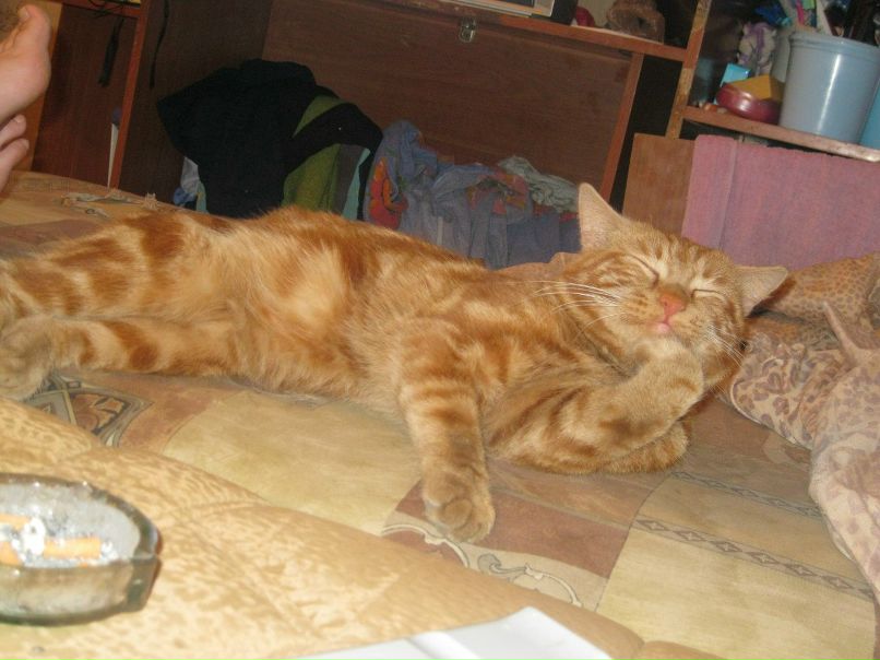 Лилия Третьякова | Москва