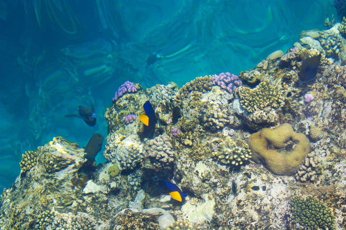 Таня Саранчина | Тюмень