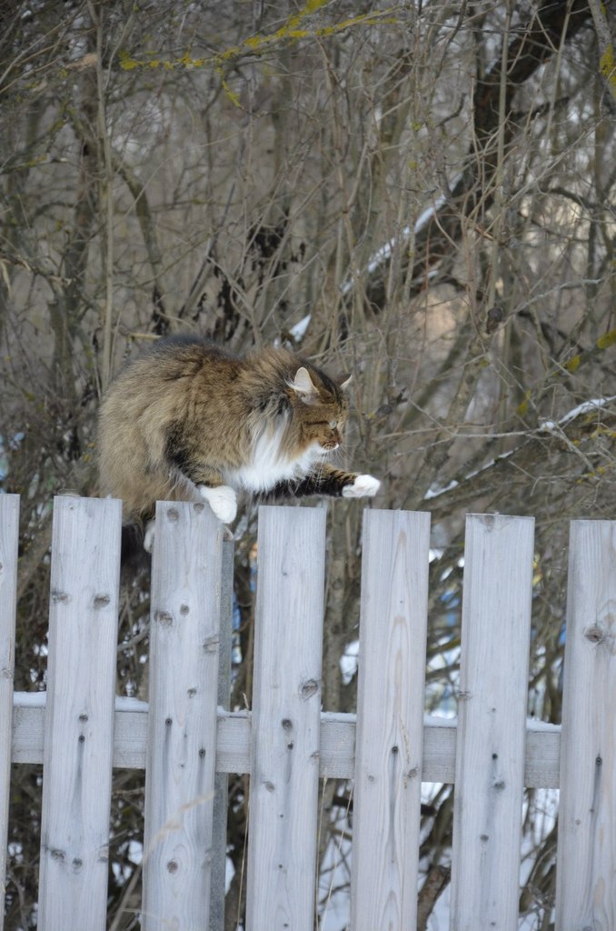 Екатерина Козлова | Москва