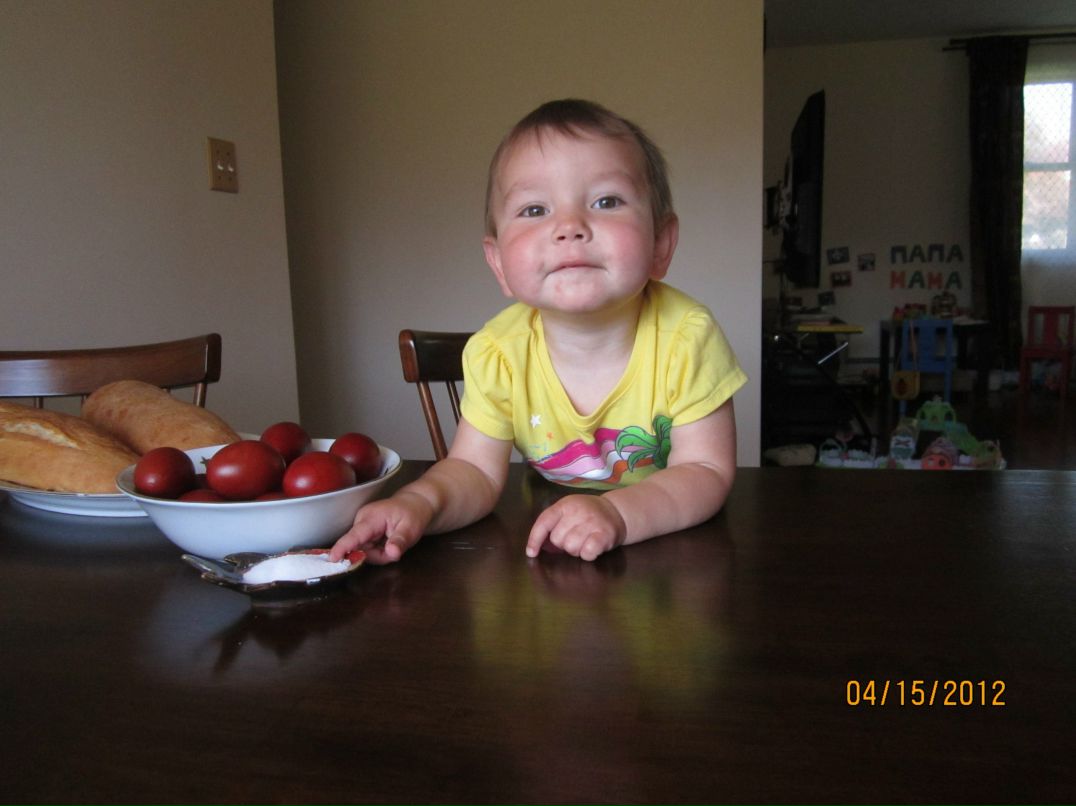 Полина Жестянникова | Holbrook