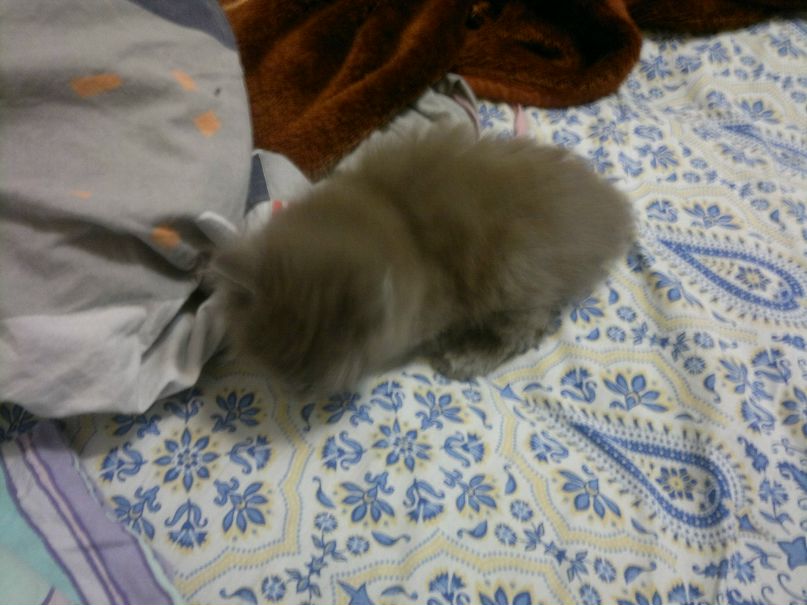 Наталья Варламова | Уфа