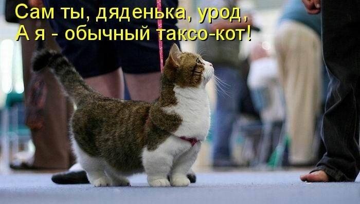 Алексей Жарков | Москва