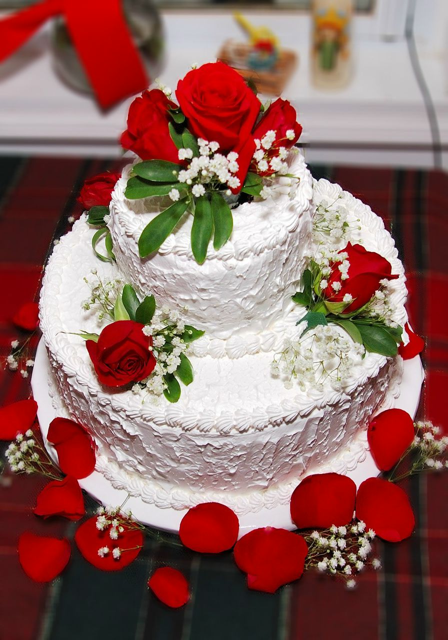 Яна Гиньковская | Киев