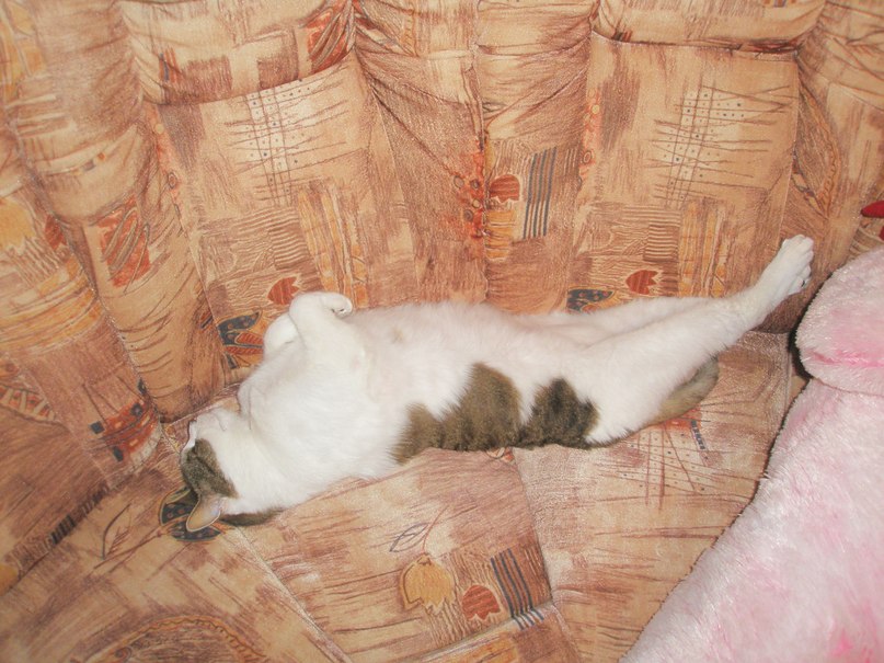 Татьяна Малева | Таллин