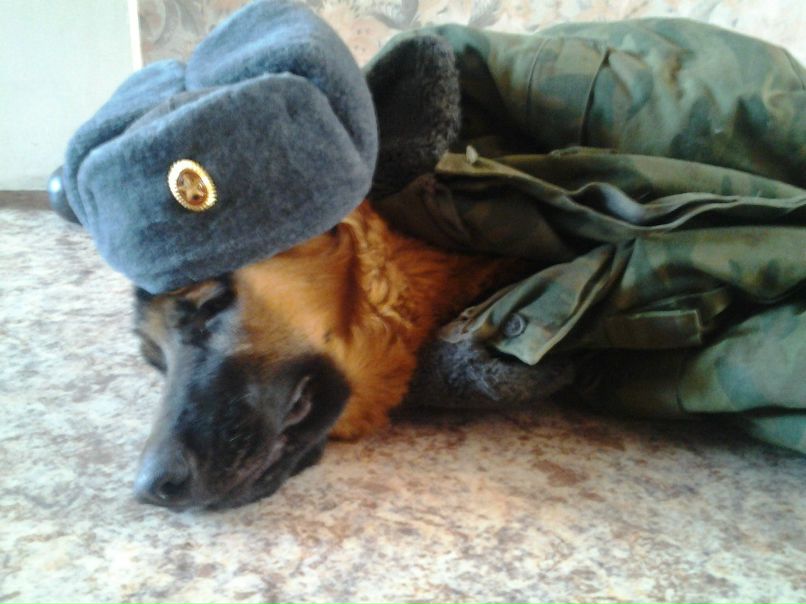 Степан Разумовский | Новокузнецк