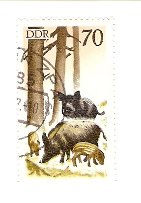 Жека Карпичев | Череповец