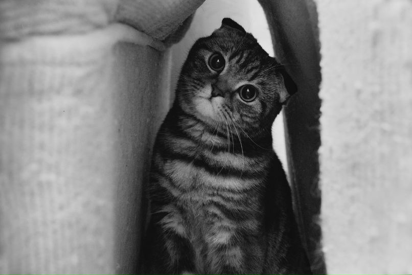 Егор Терехов | Ангарск