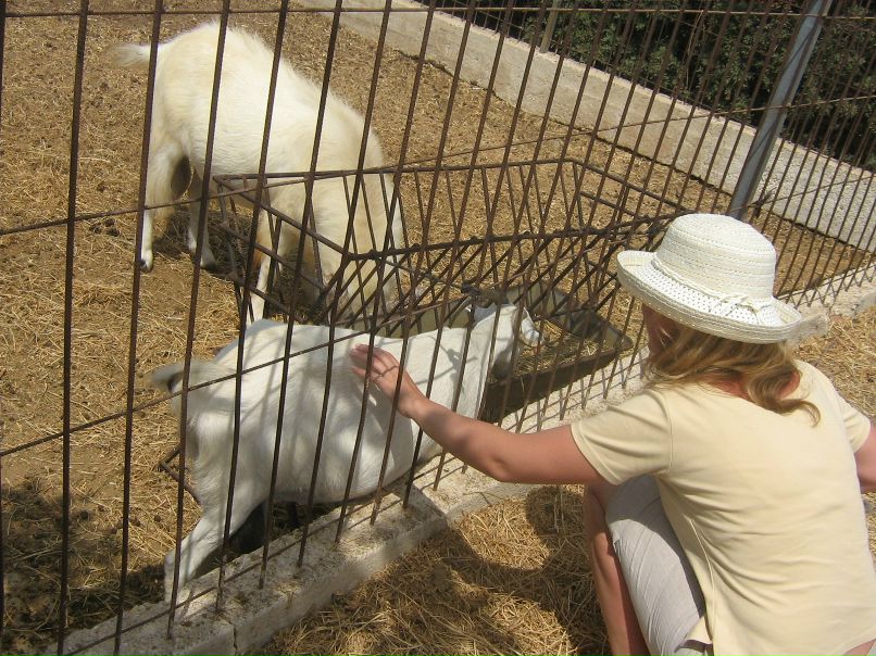 Ольга Конфетова | Санкт-Петербург