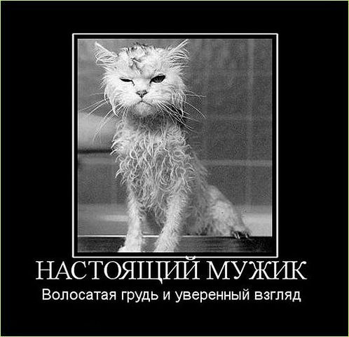 Евгения Пронина-Трифонова | Калининград