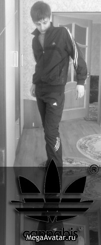 №4, Дмитрий Найденко №4, Дмитрий Найденко