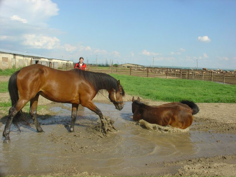 Алёна Быстрова | 