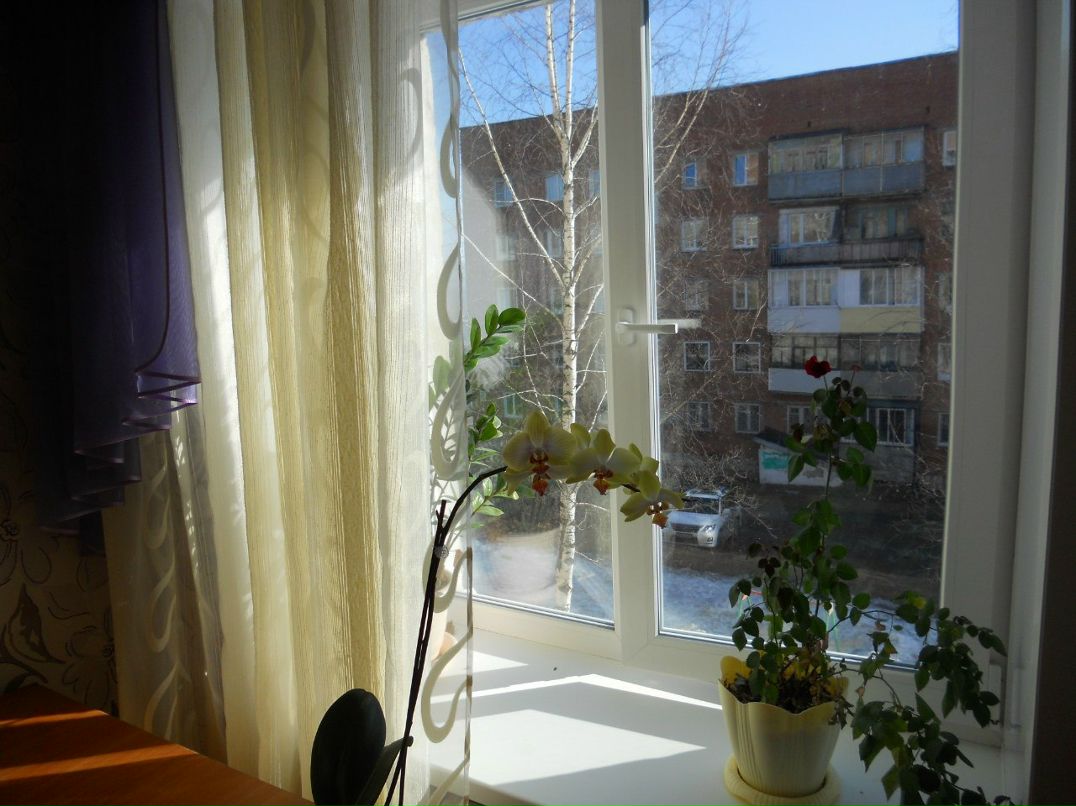 Екатерина Сохолтуева | 