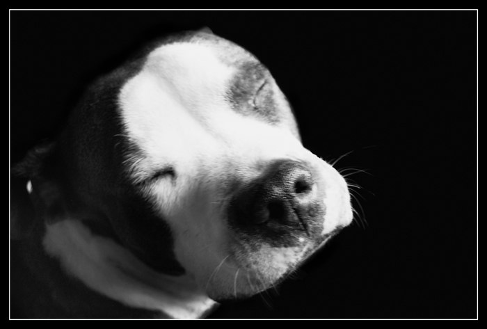 Вячеслав Карпов | Раменское