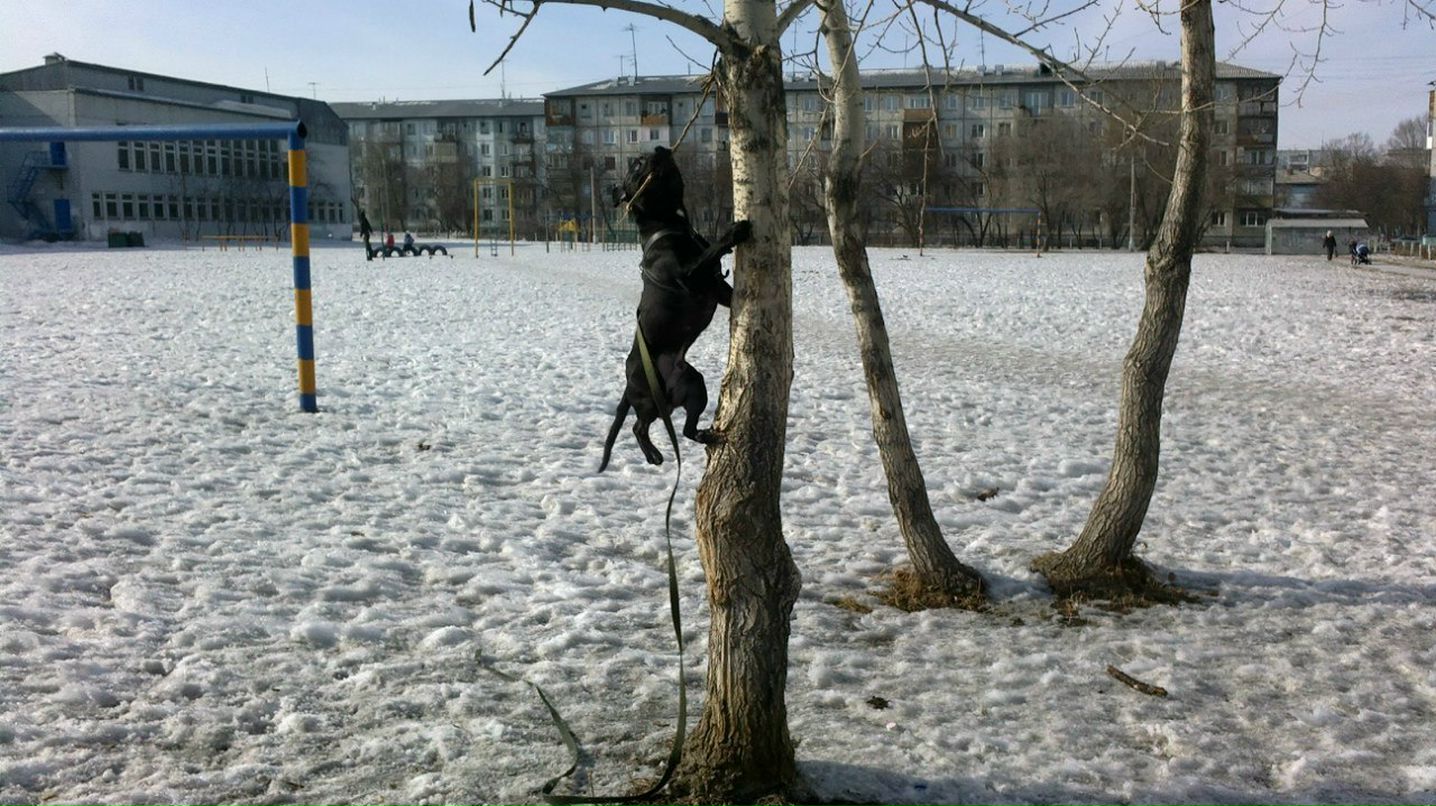 Евгений Пархоменко | Красноярск