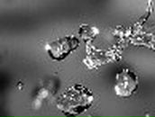 Сергей Леонов | Великие Луки