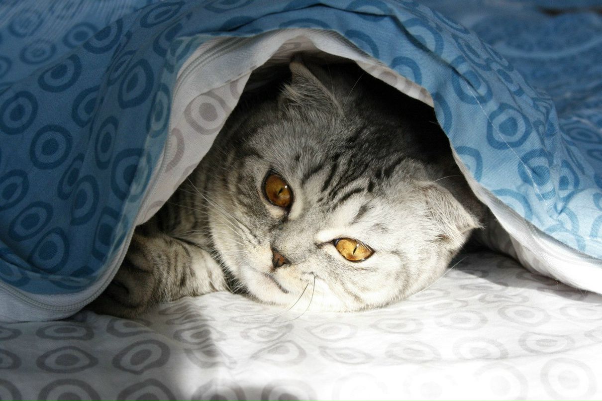 Ольга Склярук | Киев