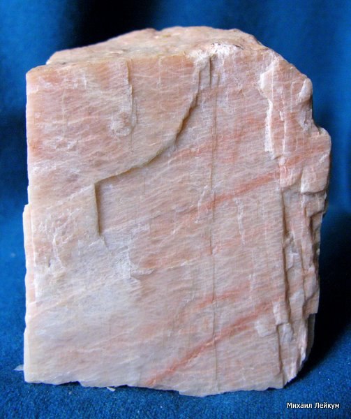 Анастасия Малкова | Долина Свободы