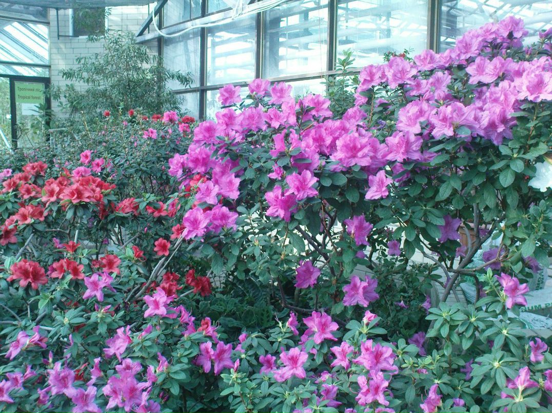 Pushing Limts | Киев