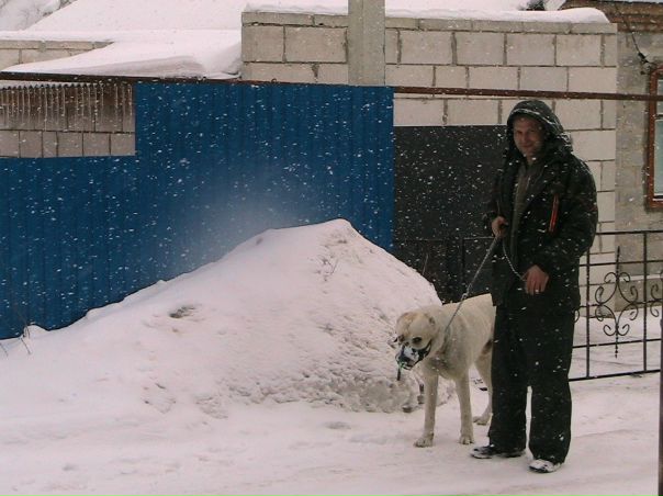 №8, Сергей Мартынов №8, Сергей Мартынов