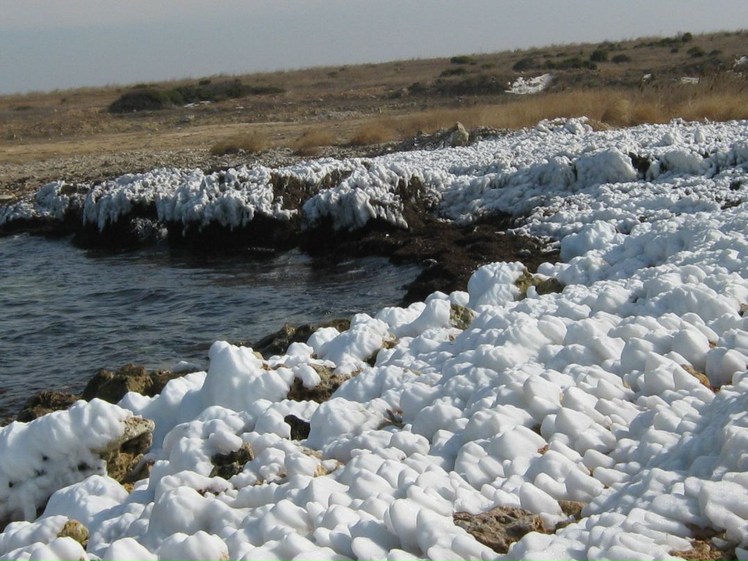 Людмила Андросова Алексеевна | Севастополь