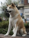 Фотография Лето Лето