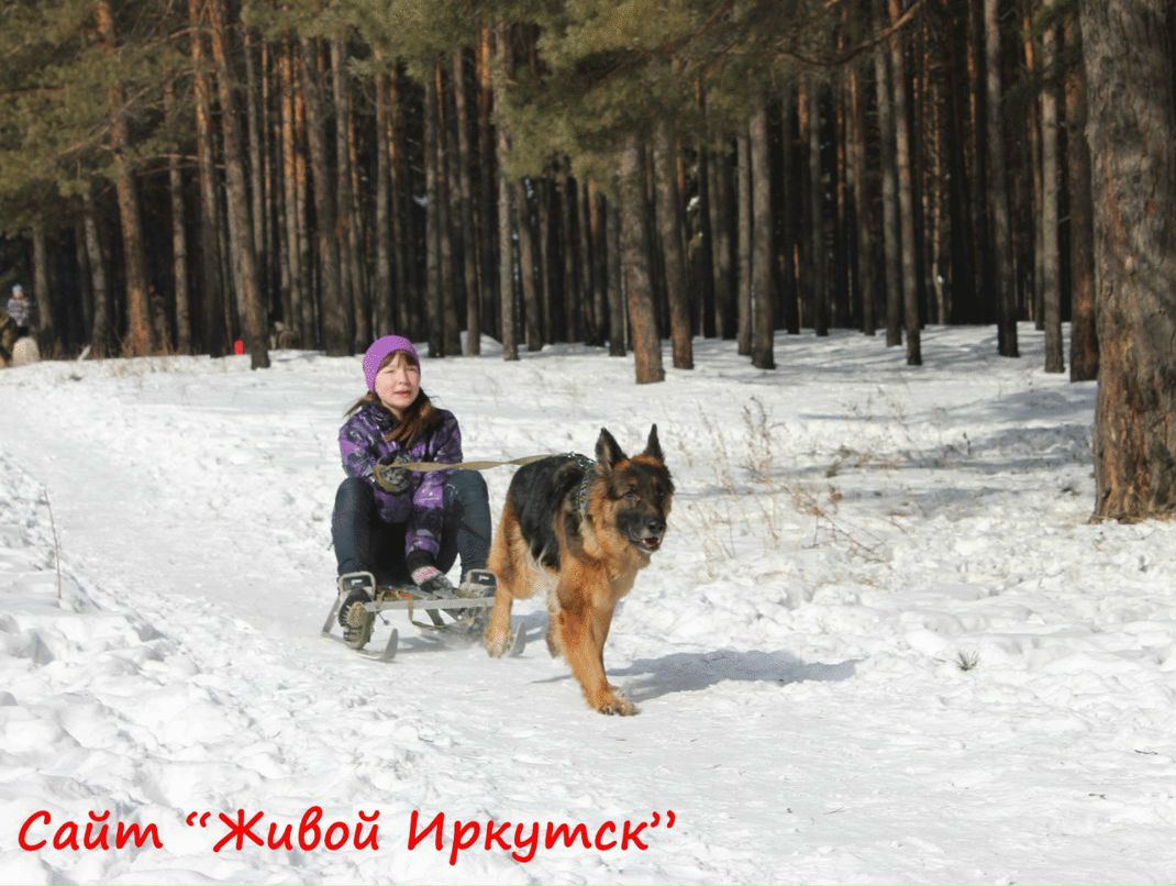 Аня Сороковикова | Ангарск