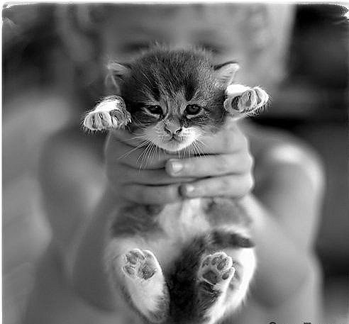 №89, Влад Мостипак, Санкт-Петербург №89, Влад Мостипак, Санкт-Петербург