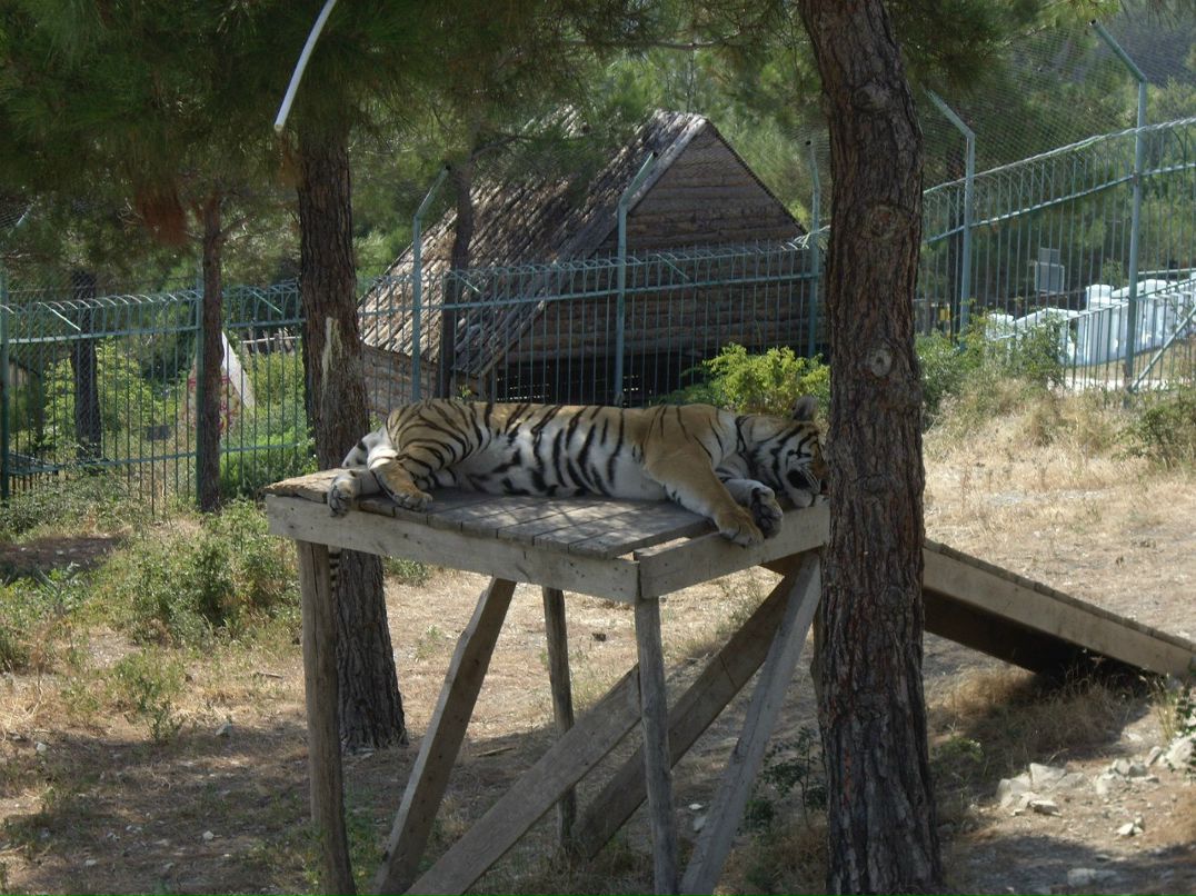 Алексей Поляков | Нижний Новгород