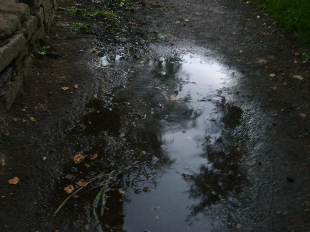 Вадим Алексеев | 