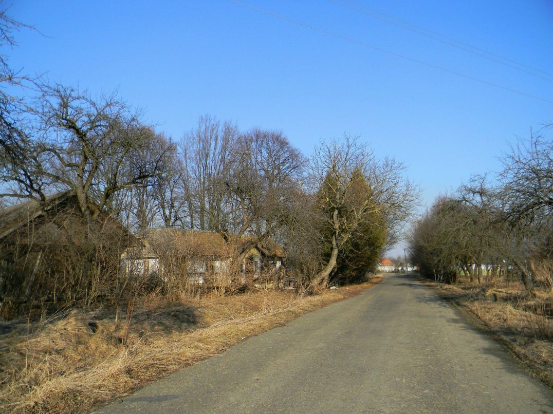 Ірина Гірка | Киев