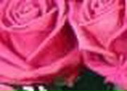 Анна Иванова | Невель