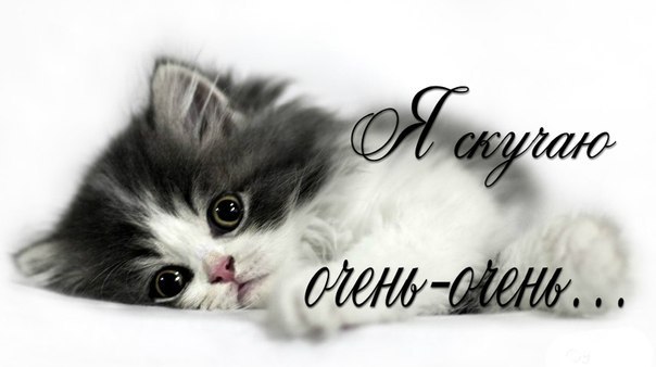 №76, Максим Лазарев, 43 года, Кадуй (пгт) №76, Максим Лазарев, 43 года, Кадуй (пгт)