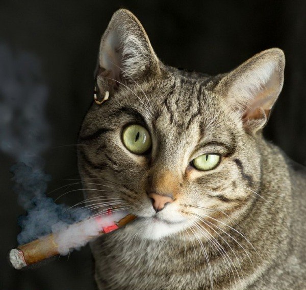 Иван Лунев | Казань