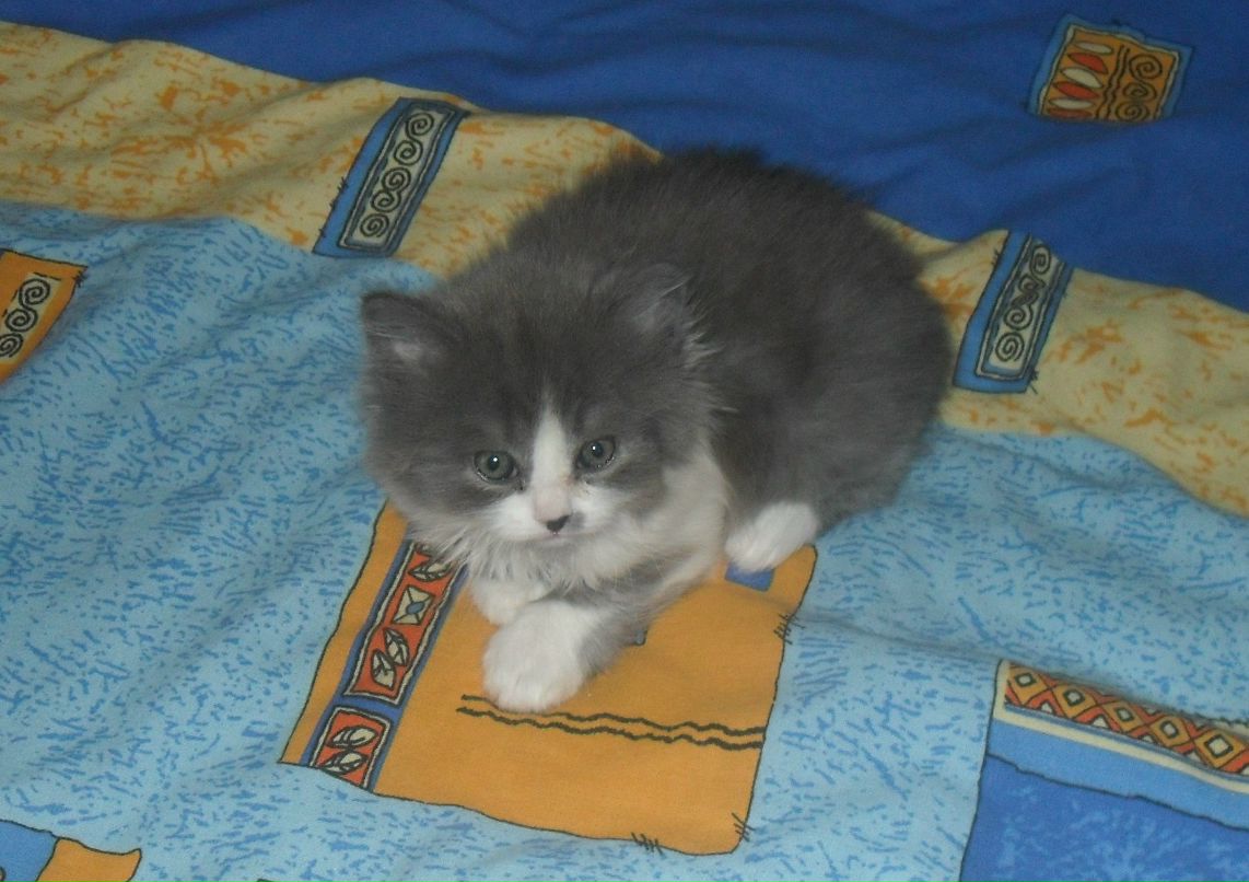 Елизавета Кирьянова | Мурманск