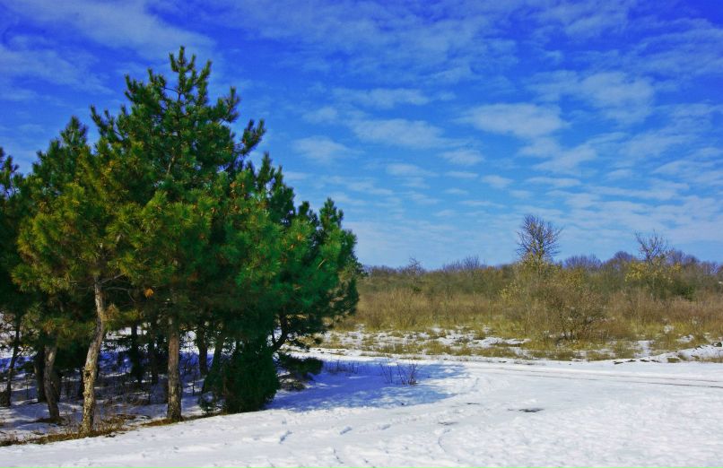 Alina Nosenko | | Херсон