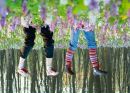 №34 Мария Медведева-Суслова : профиль, фото, статус - ВКонтакте