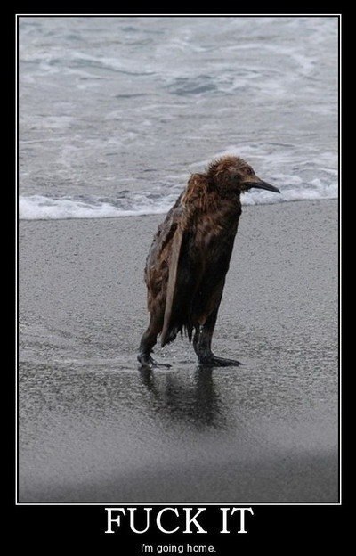 Кирилл Гуляев | London