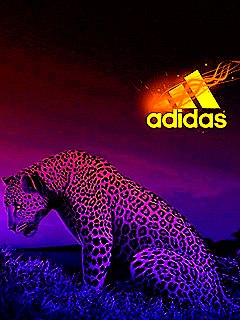 Данил Борисов | Тверь