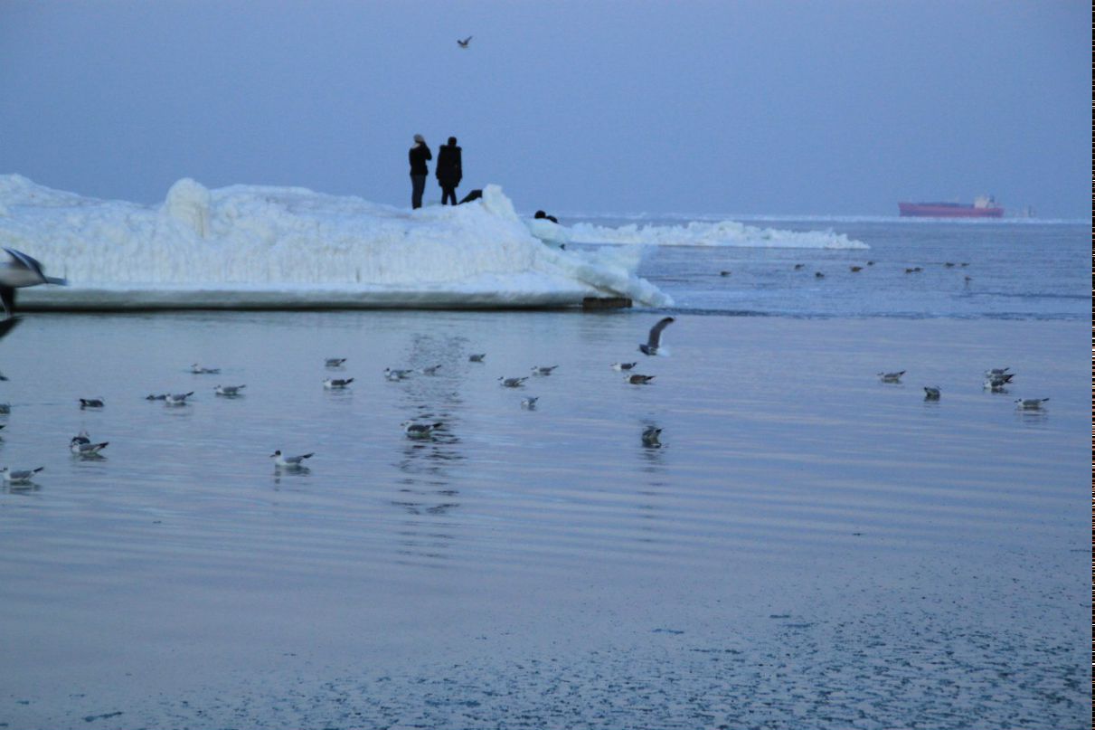 Оля Жужуленко | 