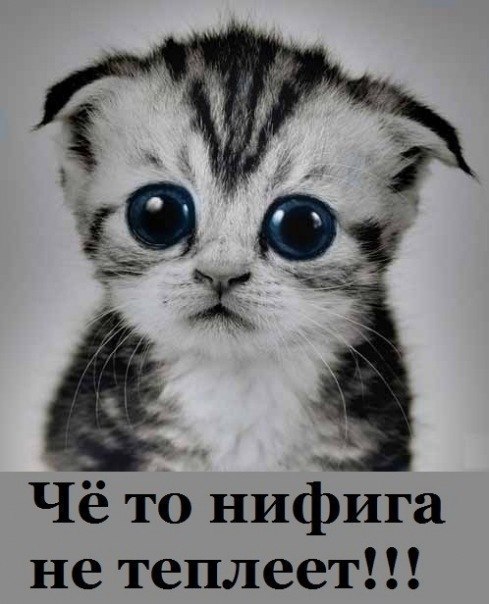 Иван Велев | Одесса