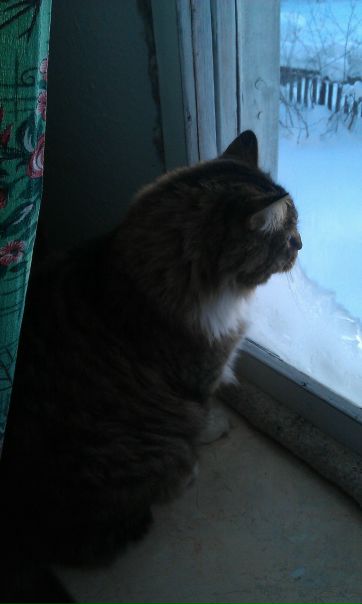 №26, Елена Журавлёва №26, Елена Журавлёва