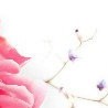 №2 Евгения Куликова : профиль, фото, статус - ВКонтакте №2 Евгения Куликова : профиль, фото, статус - ВКонтакте