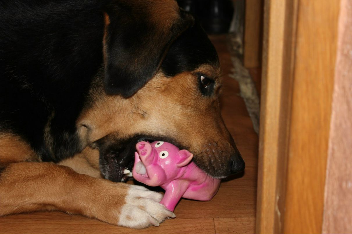 Александра Галынина | Москва