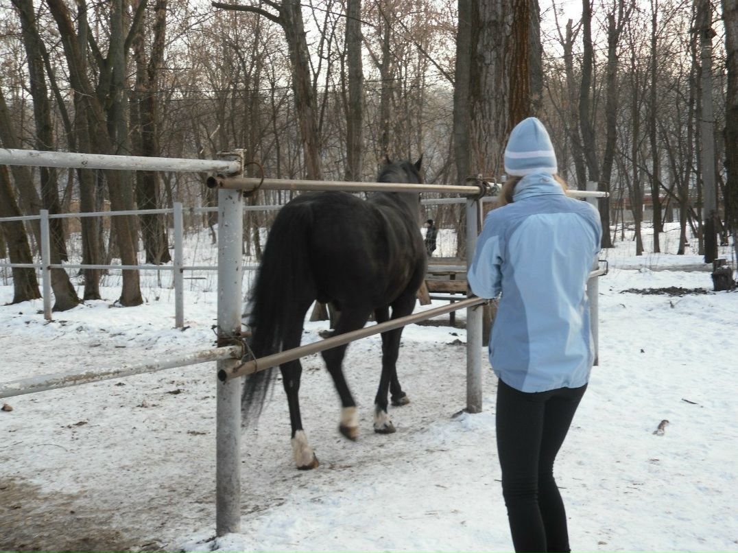 Елизавета Пасичник | Киев