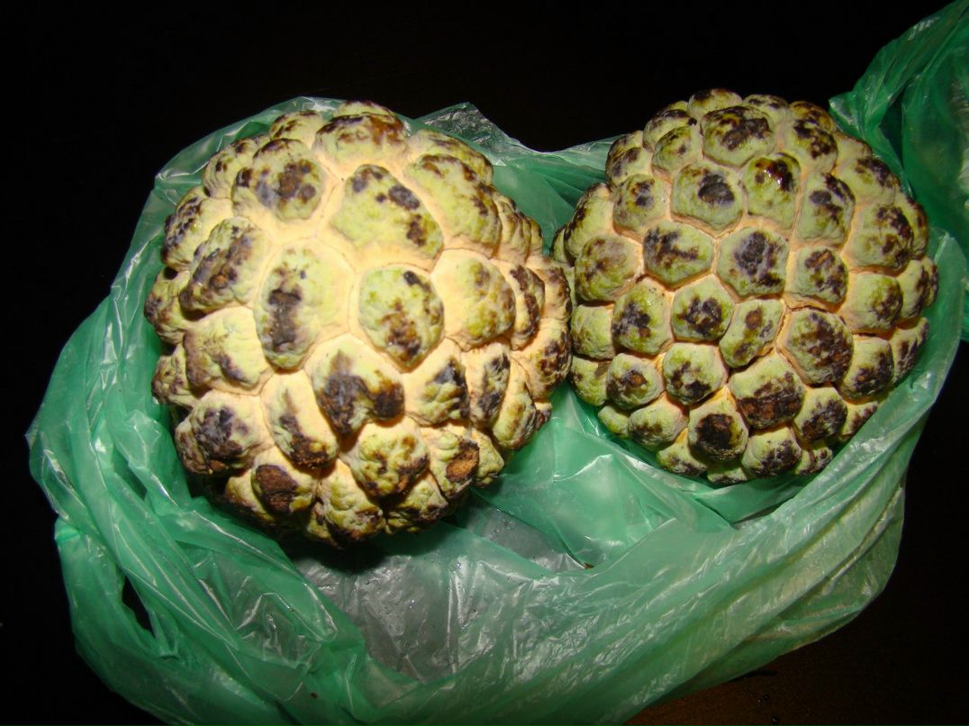 Олег Ройко | Харьков