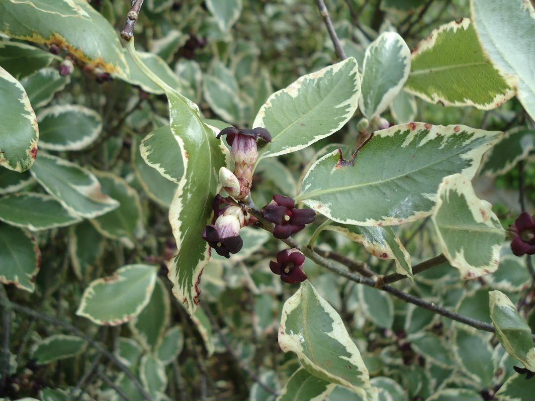 Алексей Пронин student | Минск
