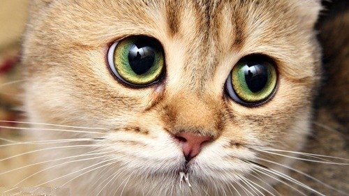 Татьяна Мухсинова | Челябинск